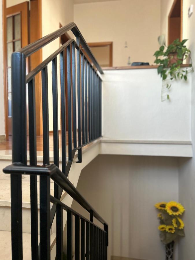 Apartament Albi'S House,Terrazza ,Wi-Fi, Parcheggio, Ac Lukka Zewnętrze zdjęcie