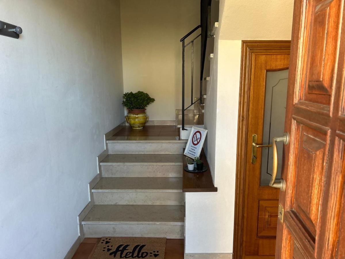 Apartament Albi'S House,Terrazza ,Wi-Fi, Parcheggio, Ac Lukka Zewnętrze zdjęcie