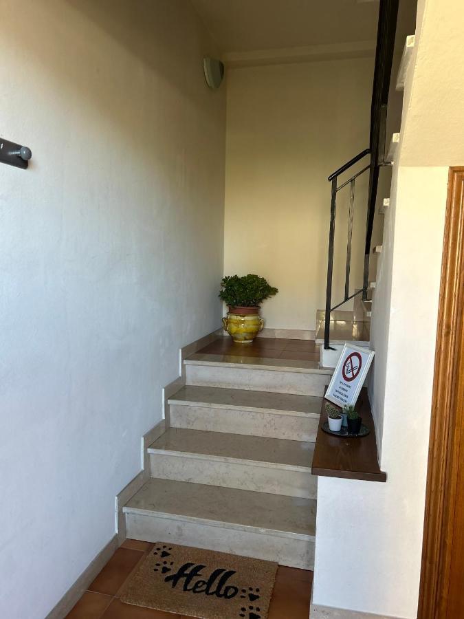 Apartament Albi'S House,Terrazza ,Wi-Fi, Parcheggio, Ac Lukka Zewnętrze zdjęcie